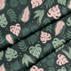 Great Monstera Lincoln