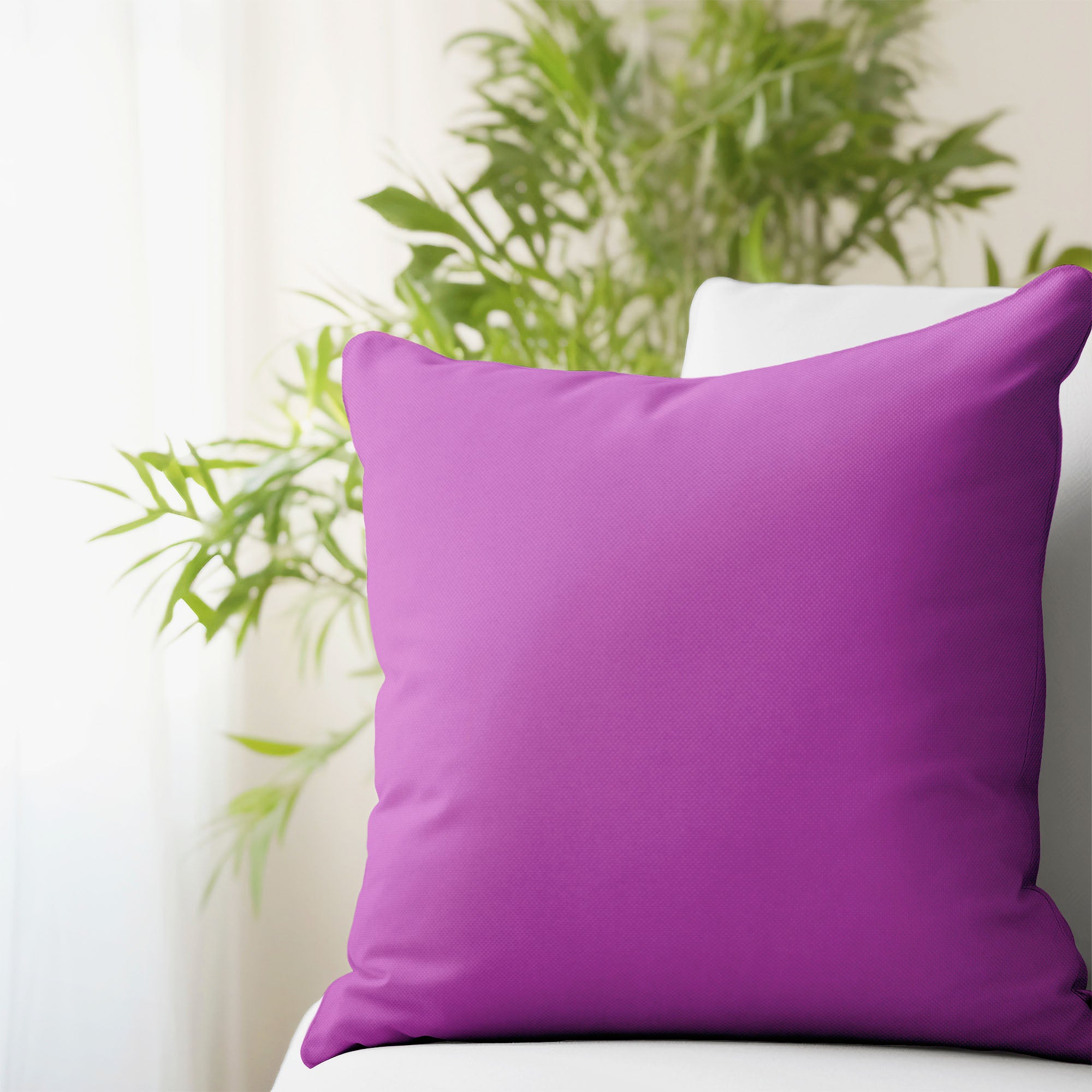 Purple Pillow