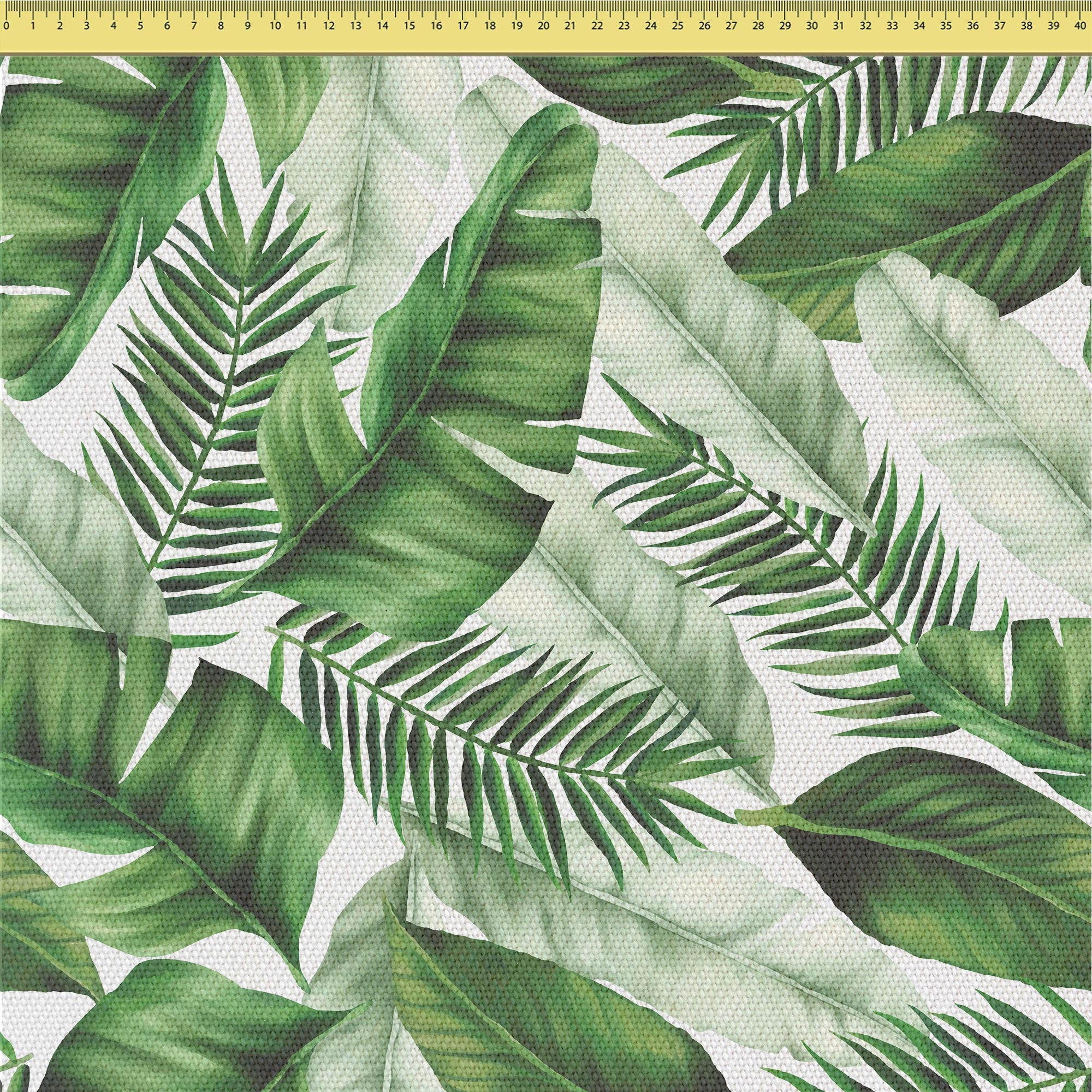 Big Leaves