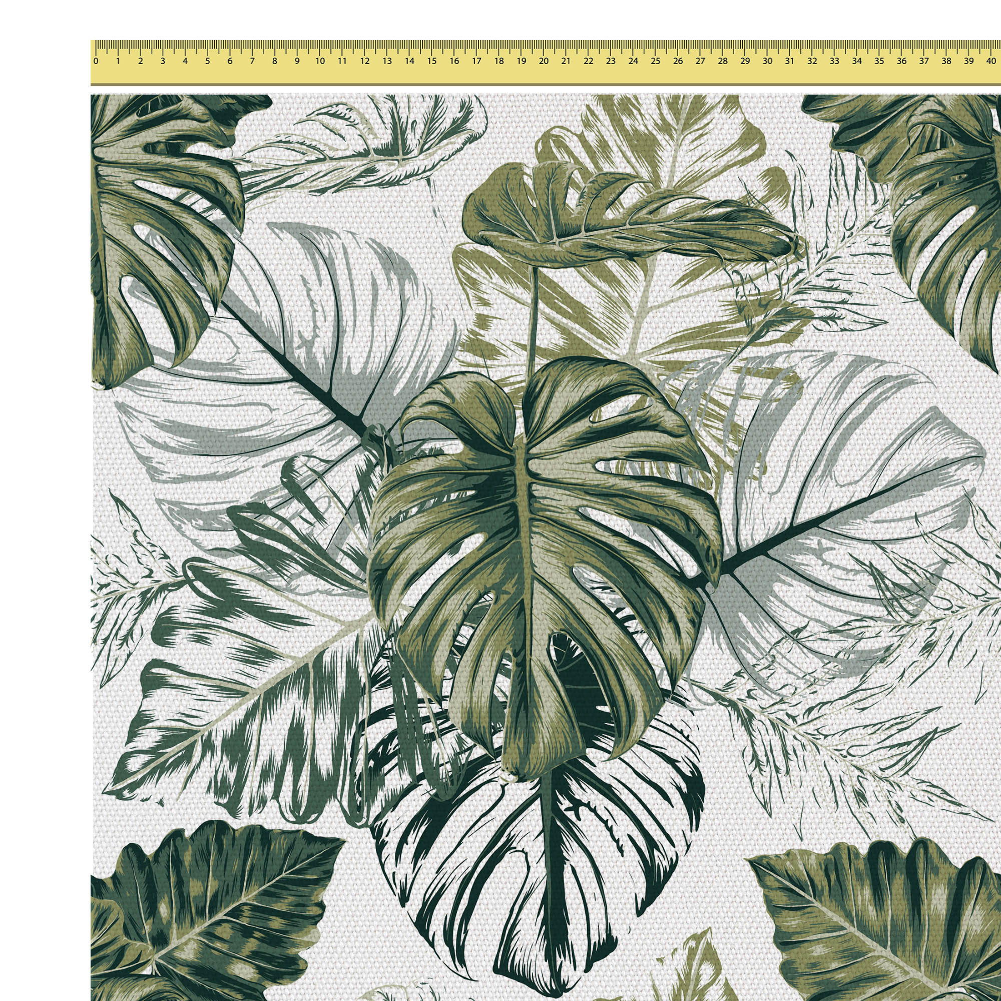 Monstera zelený list