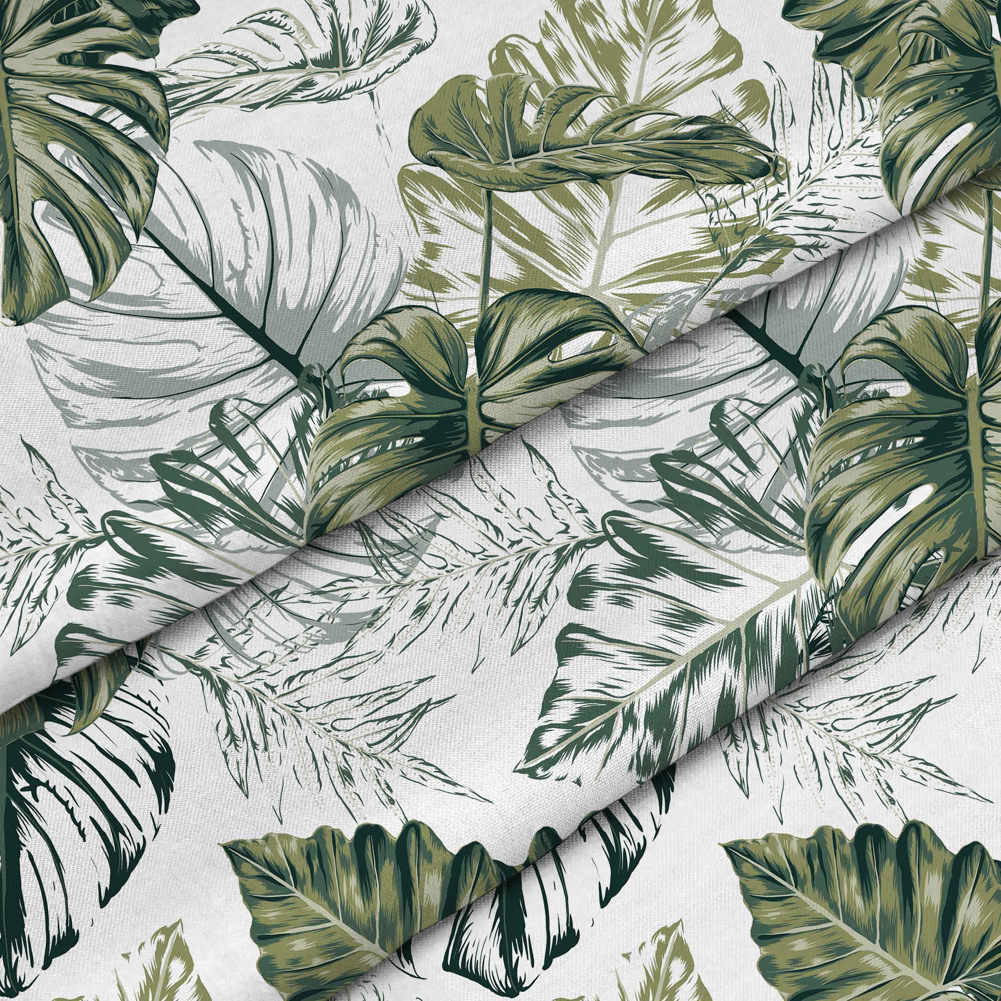 Monstera zelený list