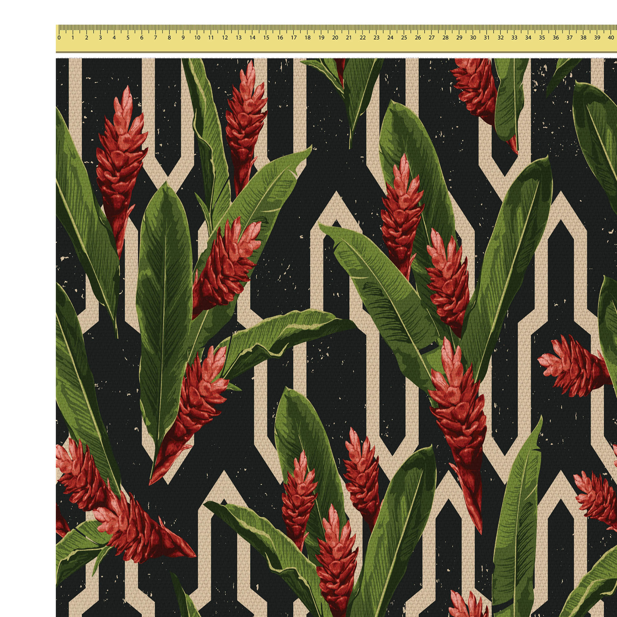 Protea Tropical Red Flowers