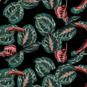 Red Tropical Maranta