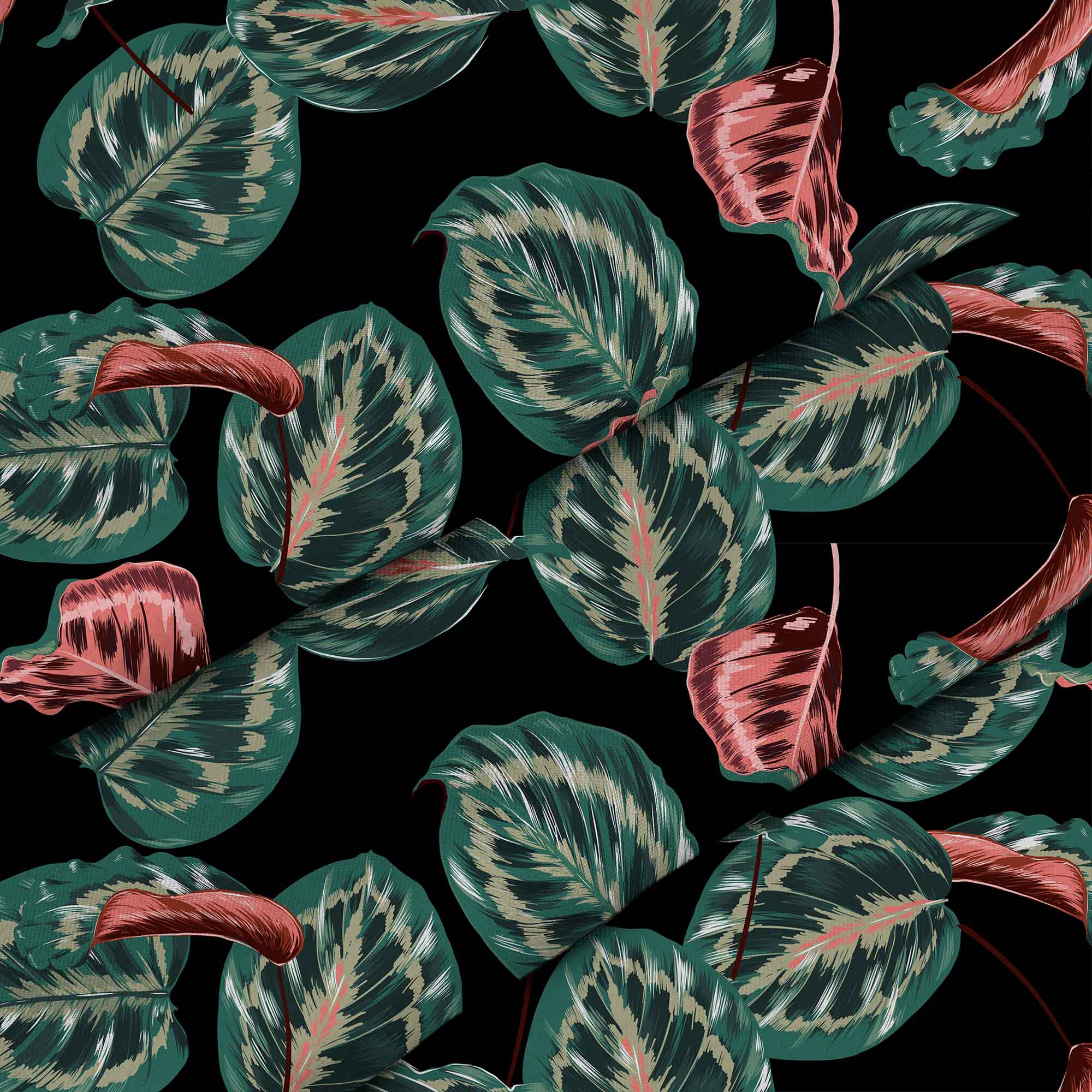 Red Tropical Maranta