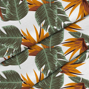 Tropical Strelitzia-Lincoln