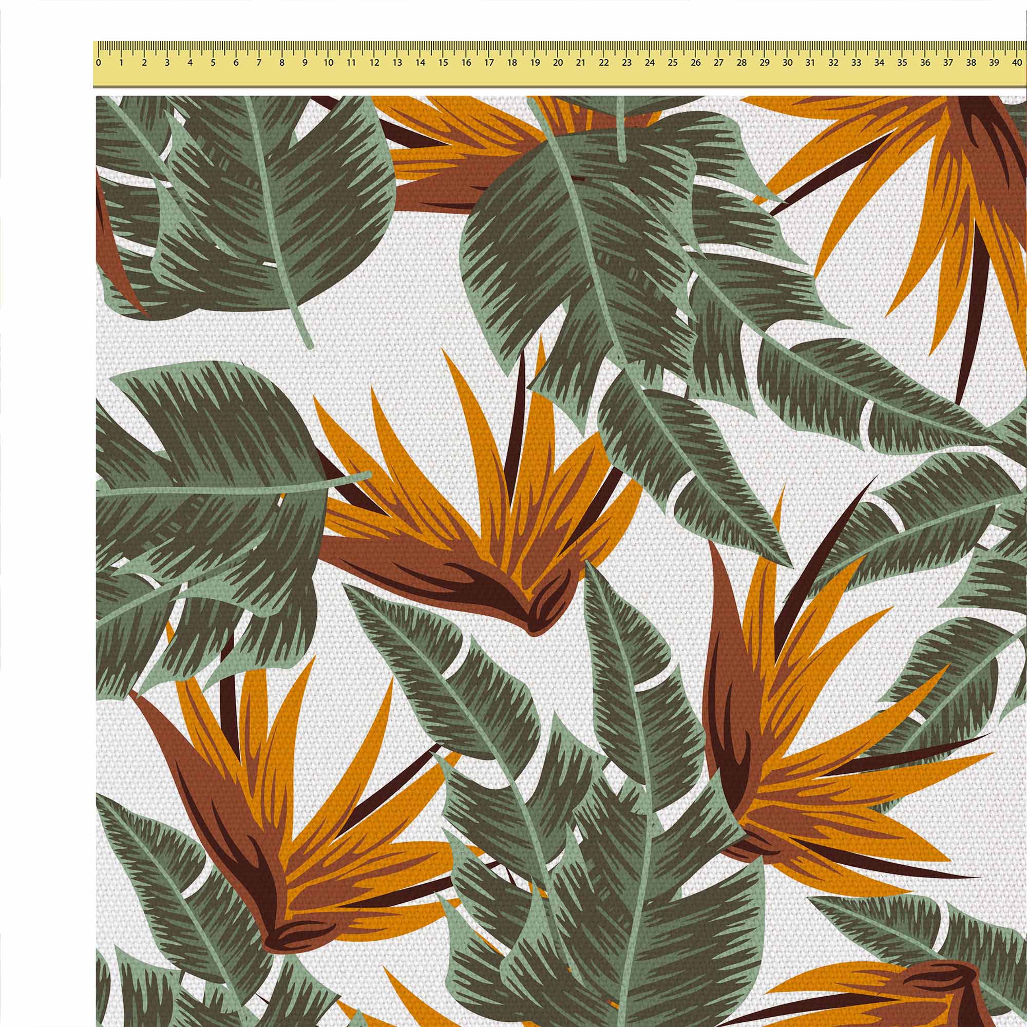 Tropical Strelitzia-Panama