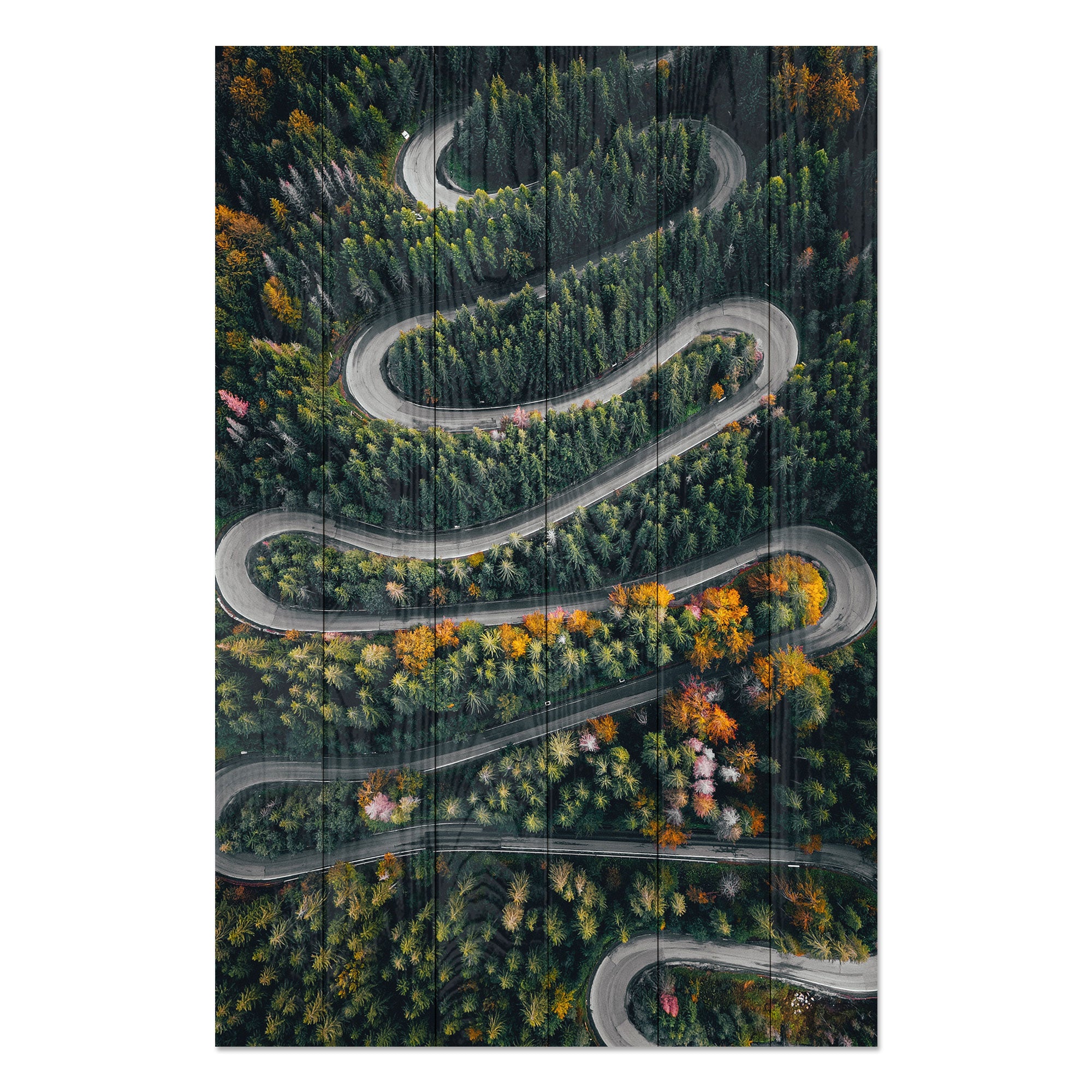 Obraz Wood Klikatá cesta lesem-30x40 cm