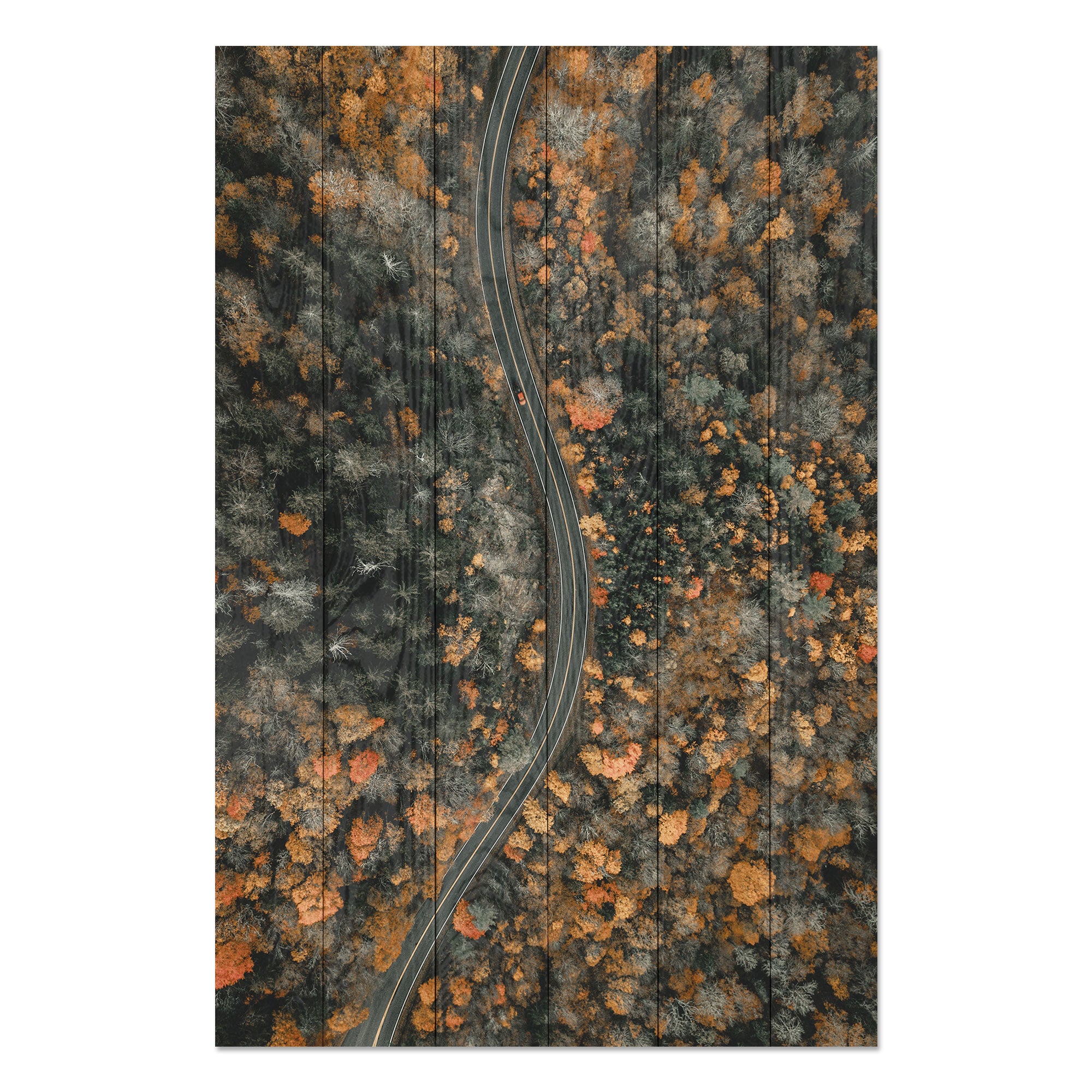 Obraz Wood Winding Road-20x30 cm