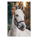 Bild Wood White Horse-40x60 cm