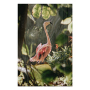 Obraz Wood Tropical Flamingo