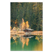 Bild Wood Traper-40x60 cm