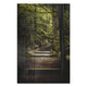 Obraz Wood Schody v lese-30x40 cm