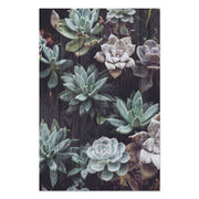Obraz Wood Sukulenty-20x30 cm