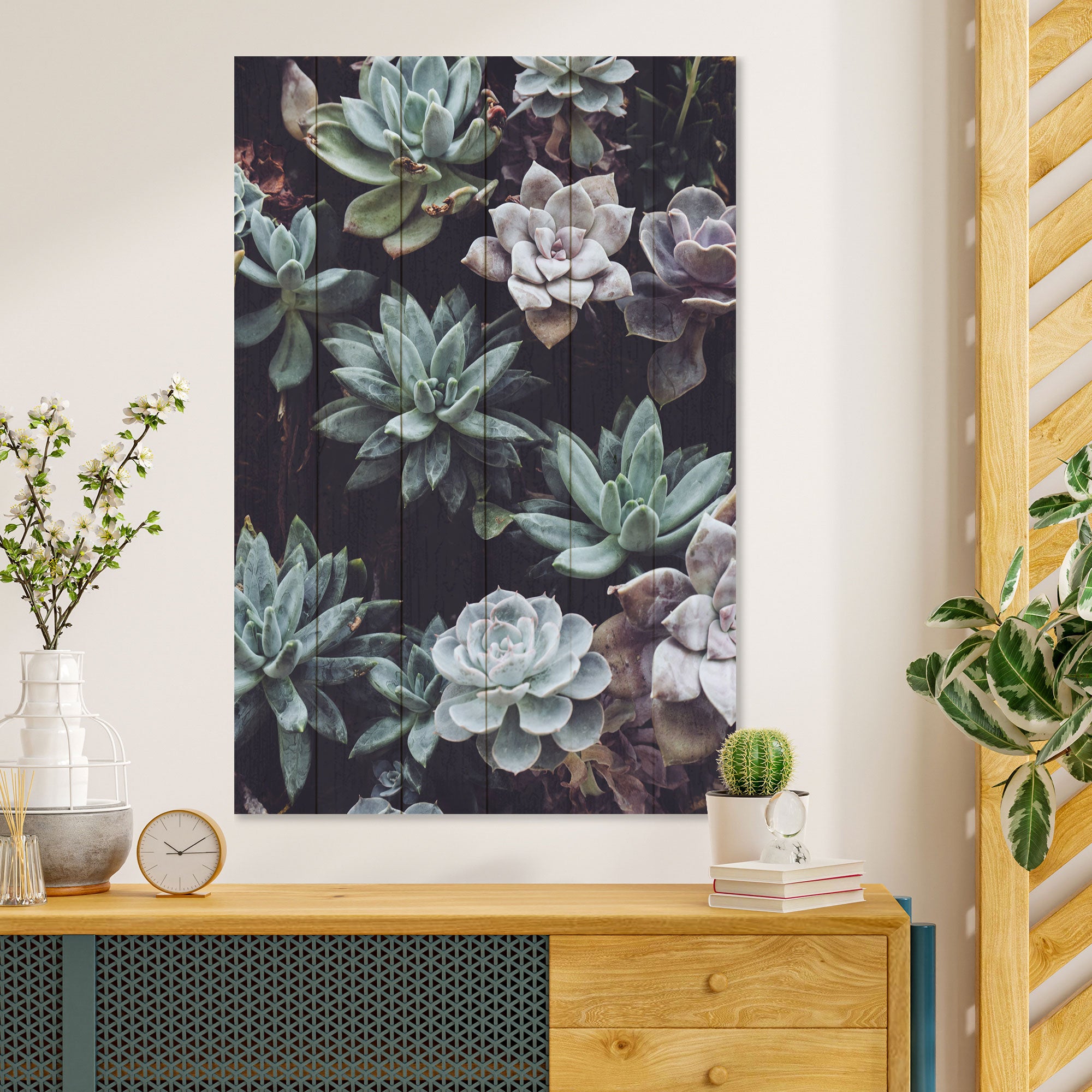 Obraz Wood Succulents-40x60 cm