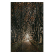 Bild Holz Straße zwischen den Bäumen-30x40 cm