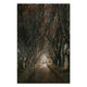 Obraz Wood Cesta mezi stromy-70x90 cm