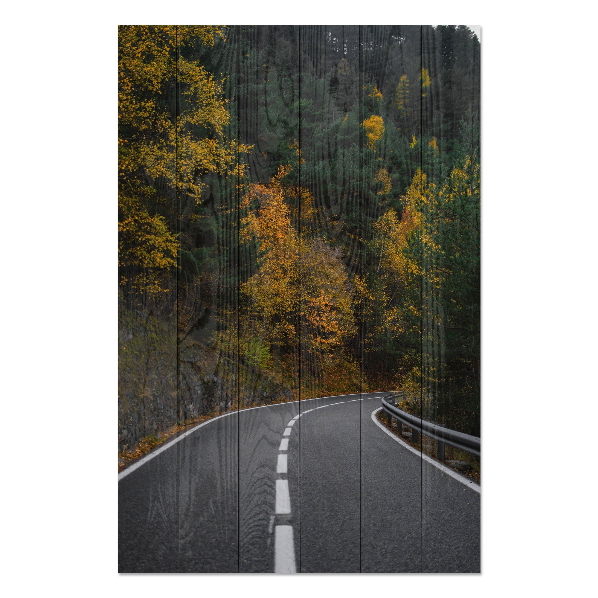 Obraz Wood Cesta lesem-30x30 cm