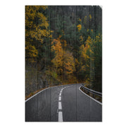 Bild Holz Straße durch den Wald-40x60 cm