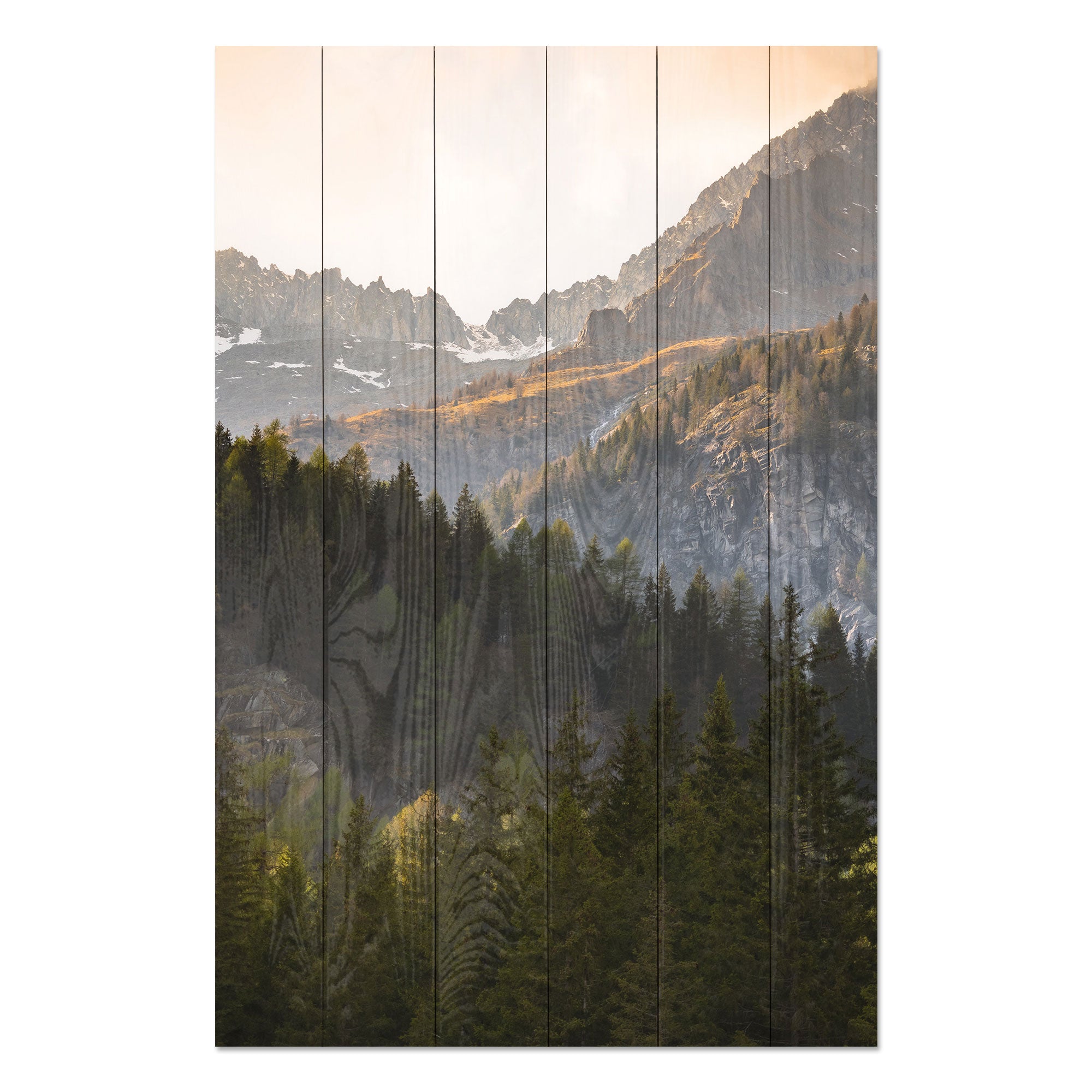 Obraz Wood Stromy v horách-40x60 cm