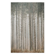 Wood Picture Mysterious Forest-30x30 cm