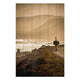 Obraz Wood Pštros na Pobreží-70x90 cm