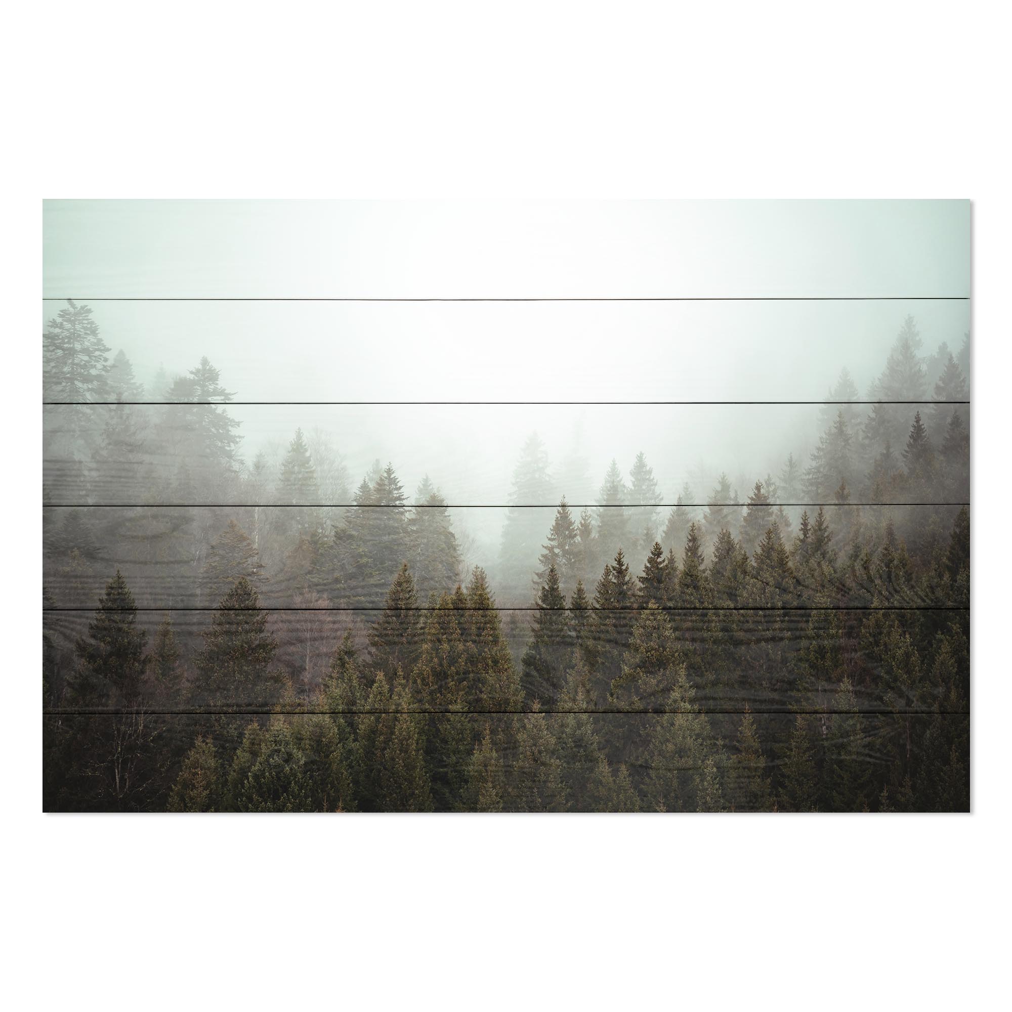 Bild Wood Nebliger Nadelwald-40x60 cm