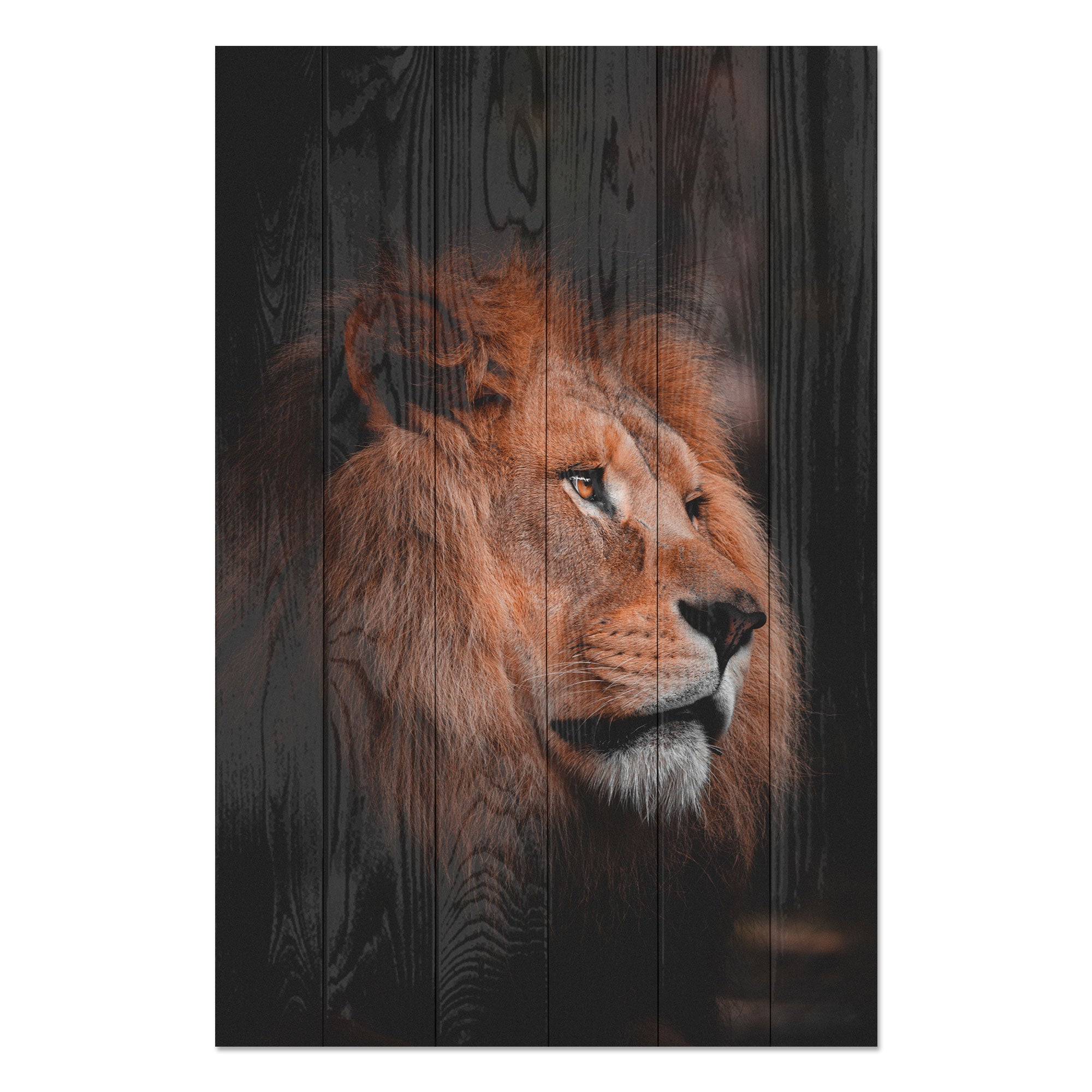 Obraz Wood Profil Lva-30x40 cm
