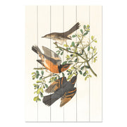 Obraz Wood Three Birds on a Branch-20x30 cm