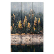 Obraz Wood Mlžný les-30x30 cm