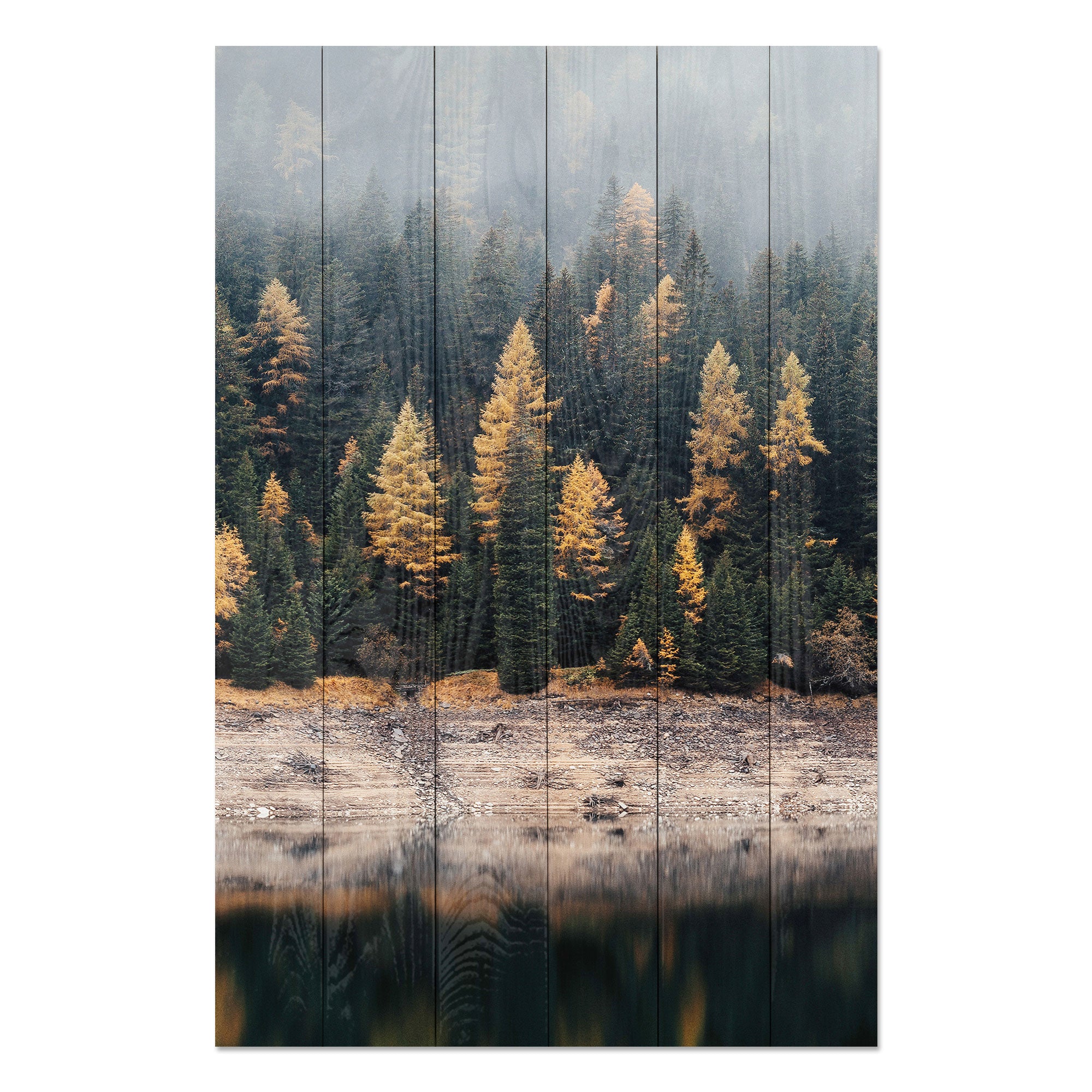 Obraz Wood Mlžný les-30x40 cm