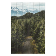 Obraz Wood Forest Track-60x90 cm
