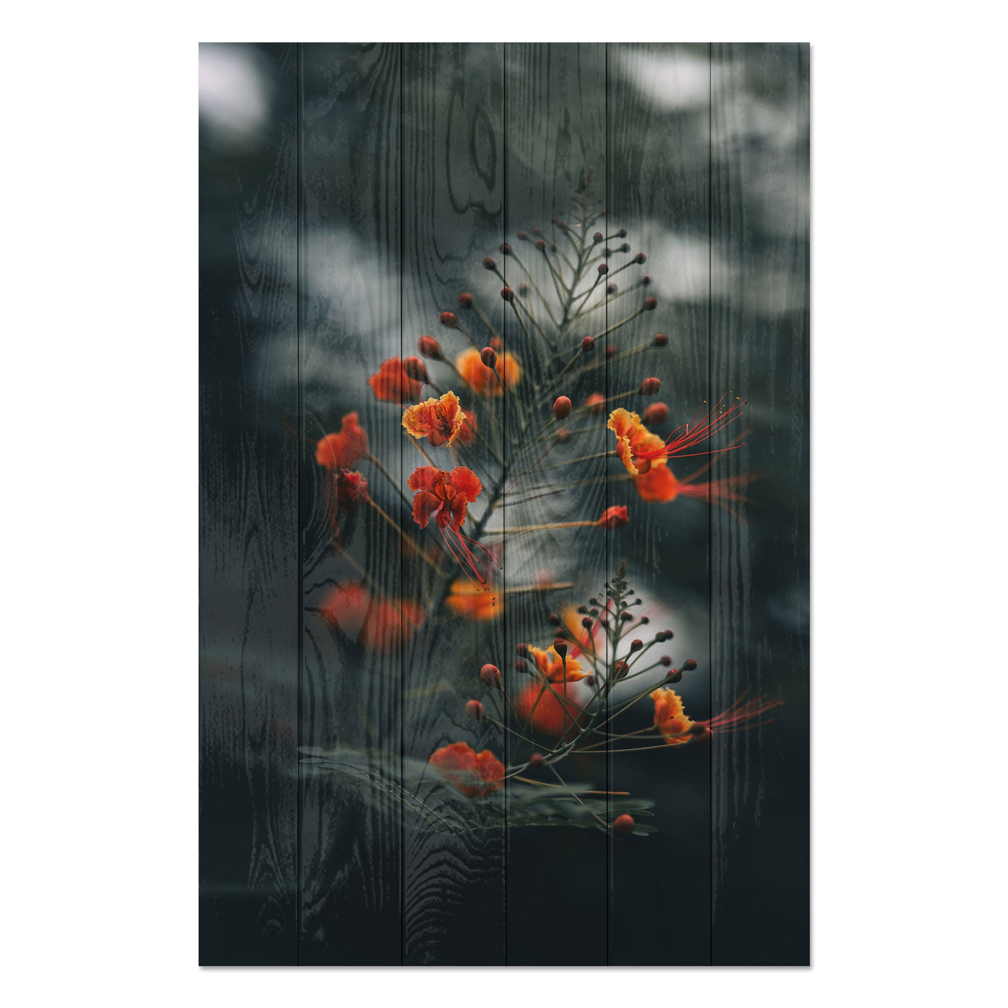 Obraz Dřevo Malé Oranžové Květiny-50x70 cm
