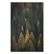 Bild Holz Nadelwald-40x60 cm