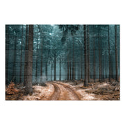 Obraz Wood Path in the Forest-40x60 cm