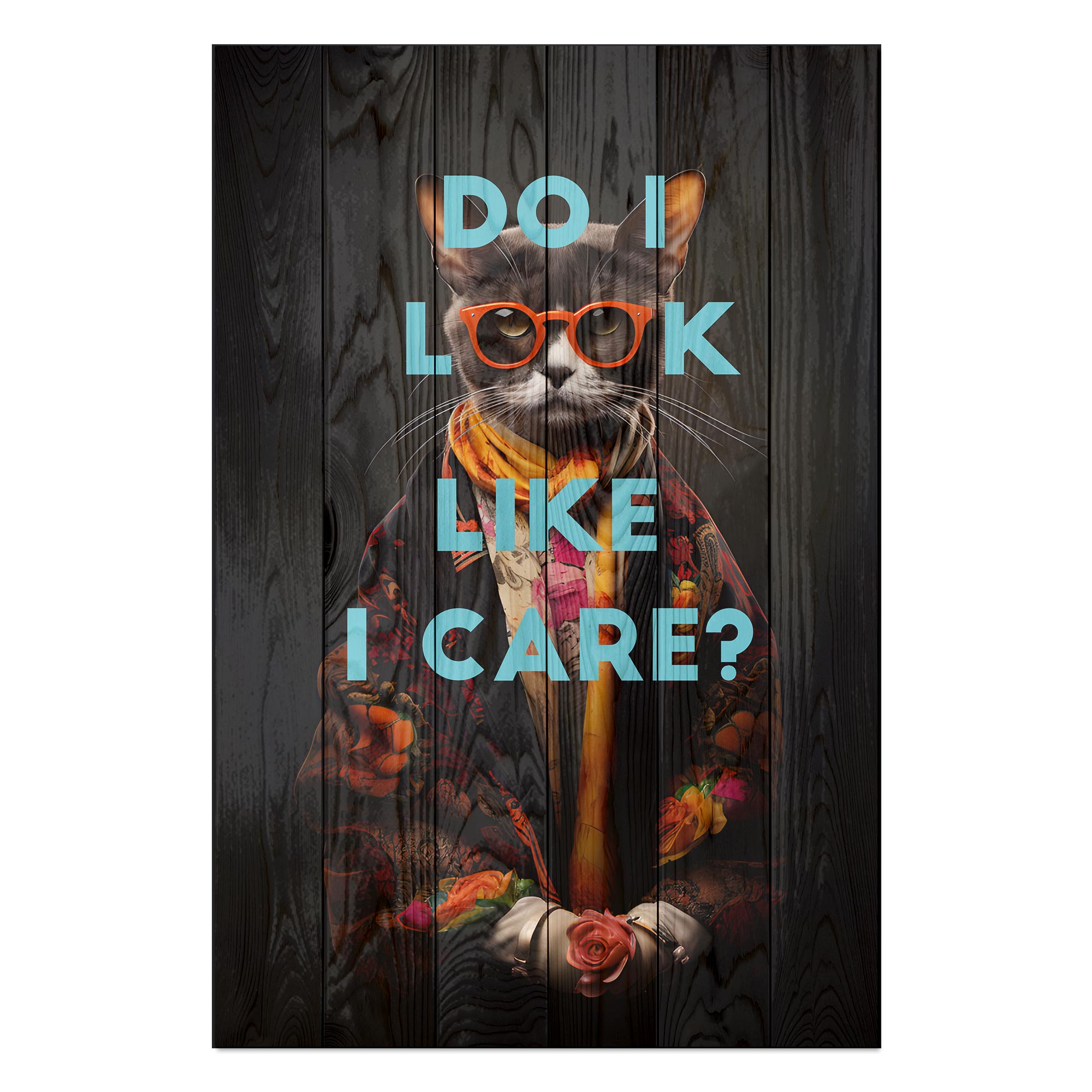 Obraz Wood Do I look like I care cat-50x70 cm