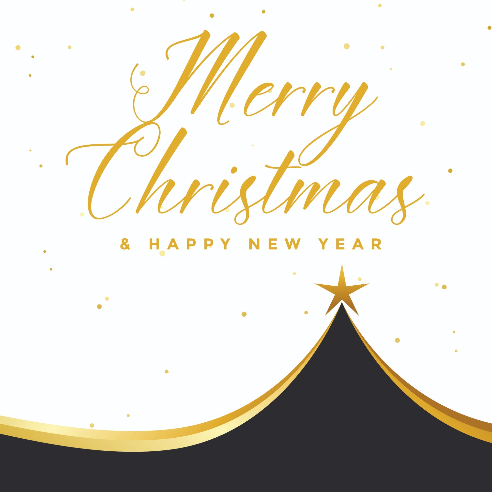 Elegant Merry Christmas Pillow