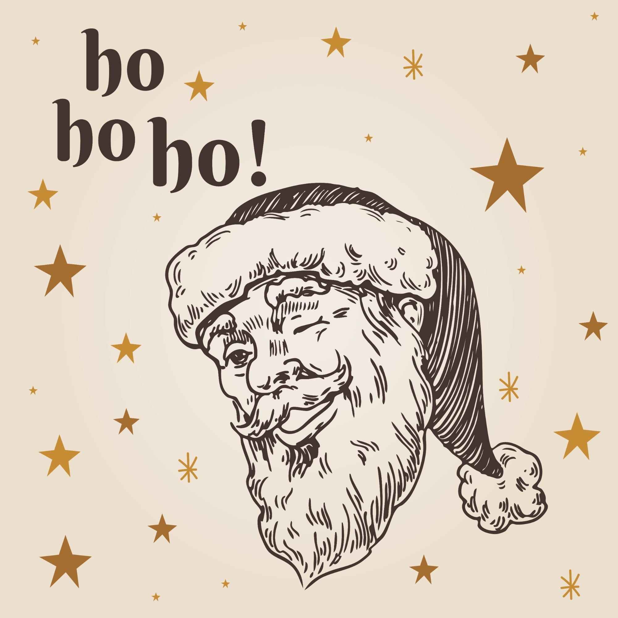 Santa Please Stop Here Pillow-Velvet